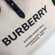 burberry包包 巴寶莉2021新款手提包 DS122703貝爾特包單肩包