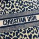 Dior包包 迪奧2021新款手提包 DS1088走秀款購物袋單肩斜挎包