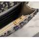 Dior包包 迪奧2023新款手提包 ZJcd-1010手拿包單肩斜挎包