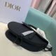 Dior包包 迪奧2021新款手提包 DS0158磨砂牛皮單肩斜挎包
