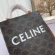 Celine包包 賽琳2021新款手提包 DS194372時尚單肩斜挎包