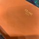 Celine包包 賽琳2021新款手提包 DS0211凱旋門腋下包單肩包