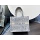 Dior包包 迪奧2023新款手提包 ZJBook Tote購物袋小號單肩包