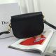 Dior包包 迪奧2021新款手提包 DS9027復古單肩斜挎包