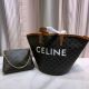 Celine包包 賽琳2021新款手提包 DS0823-67扇子包單肩斜挎包