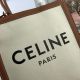Celine包包 賽琳2021新款手提包 DS191542 時尚單肩斜挎包