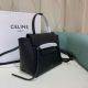 Celine包包 賽琳2021新款手提包 DS189003掌紋牛皮鯰魚包單肩斜挎包