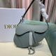 Dior包包 迪奧2021新款手提包 DS0158磨砂牛皮單肩斜挎包