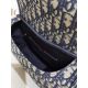 Dior包包 迪奧2021新款手提包 DS9268復古單肩斜挎包
