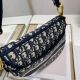 Dior包包 迪奧2021新款手提包 DS0446刺繡馬鞍包單肩斜挎包