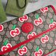 gucci包包 古馳2021新款手提包 DS625233啡紅蘋果時尚單肩斜挎包