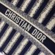 Dior包包 迪奧2021新款手提包 DS1286條紋大號小號購物袋單肩斜挎包
