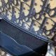 Dior包包 迪奧2021新款手提包 DS9288復古單肩斜挎包